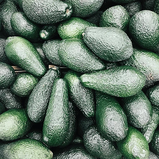 Avocado