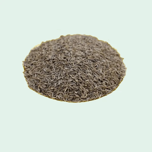 Cumin Seed 1